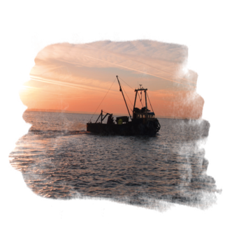 Trevor Lineham shellfish, Ltd. boat