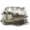 Dani Foods, Ltd.