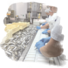 Sardine's production line